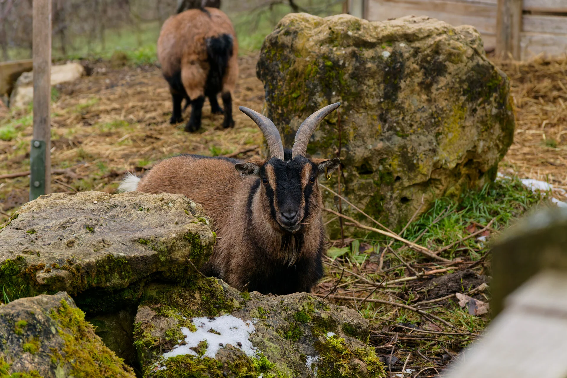 DSC02708_DxOAlpha.webp