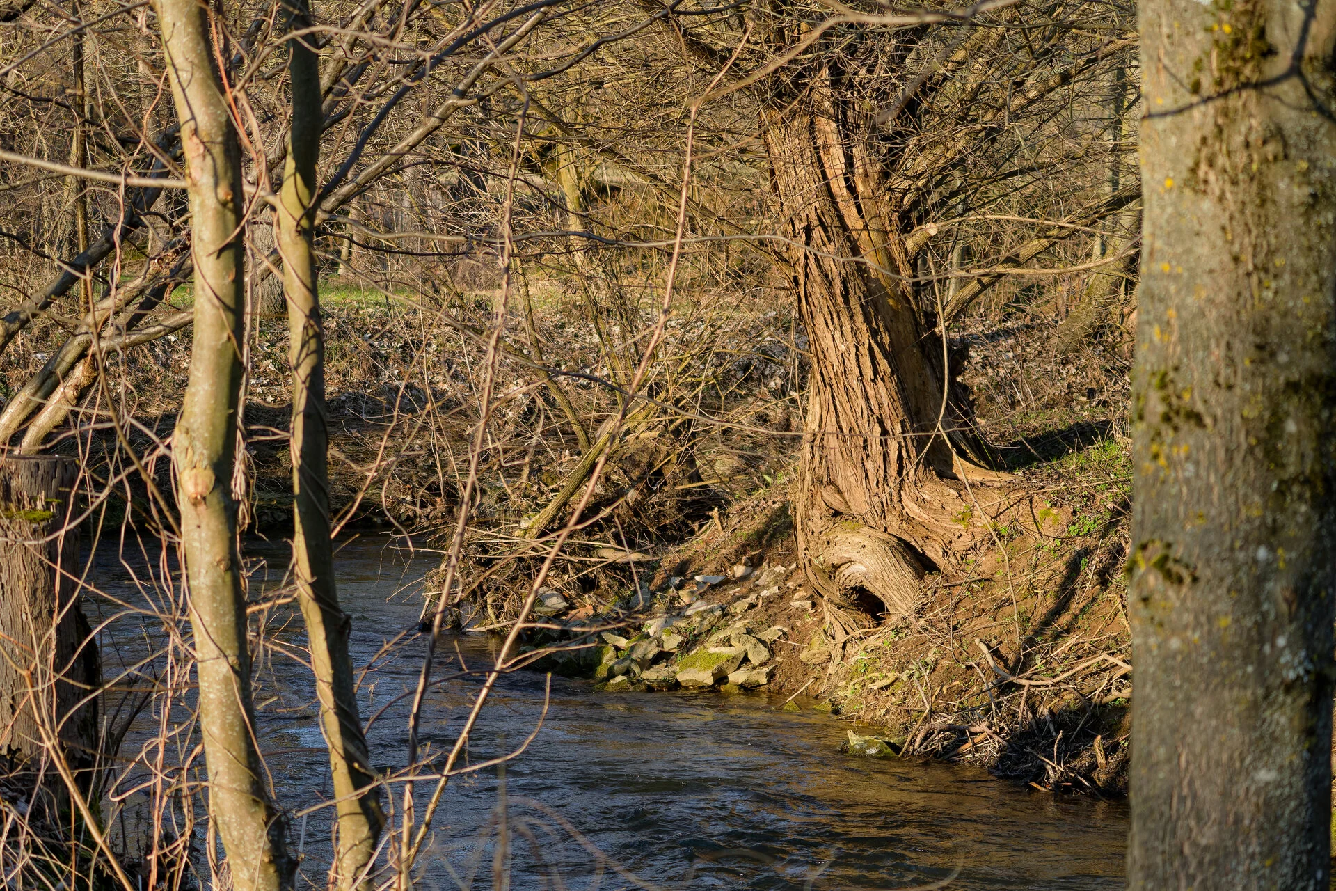 DSC02958_DxOAlpha.webp