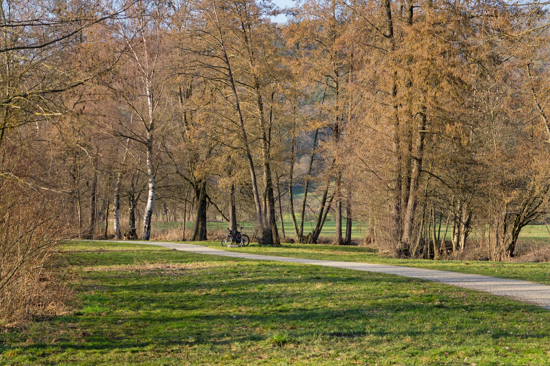 DSC02965_DxOAlpha.webp