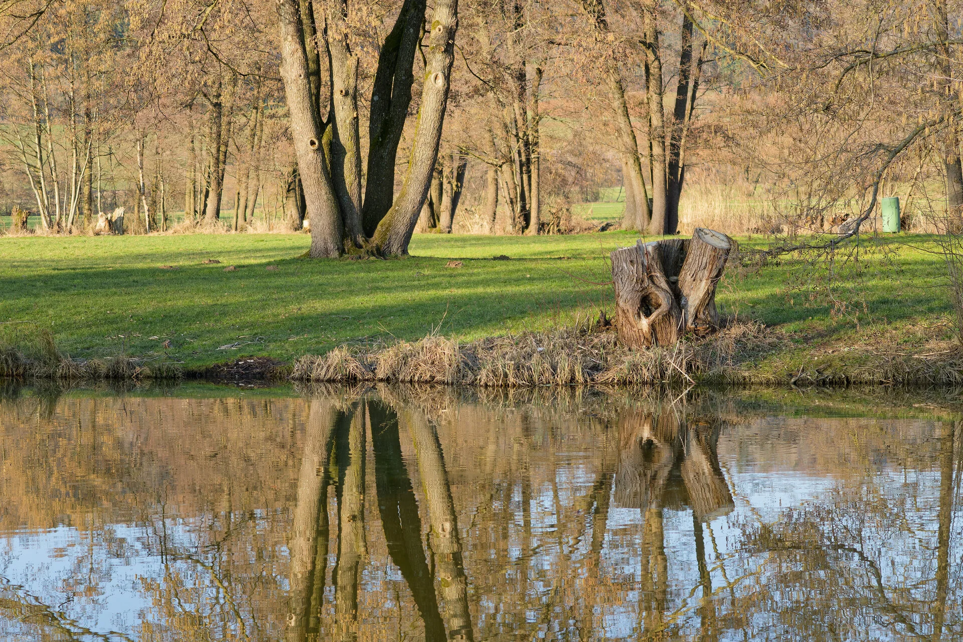 DSC02976_DxOAlpha.webp