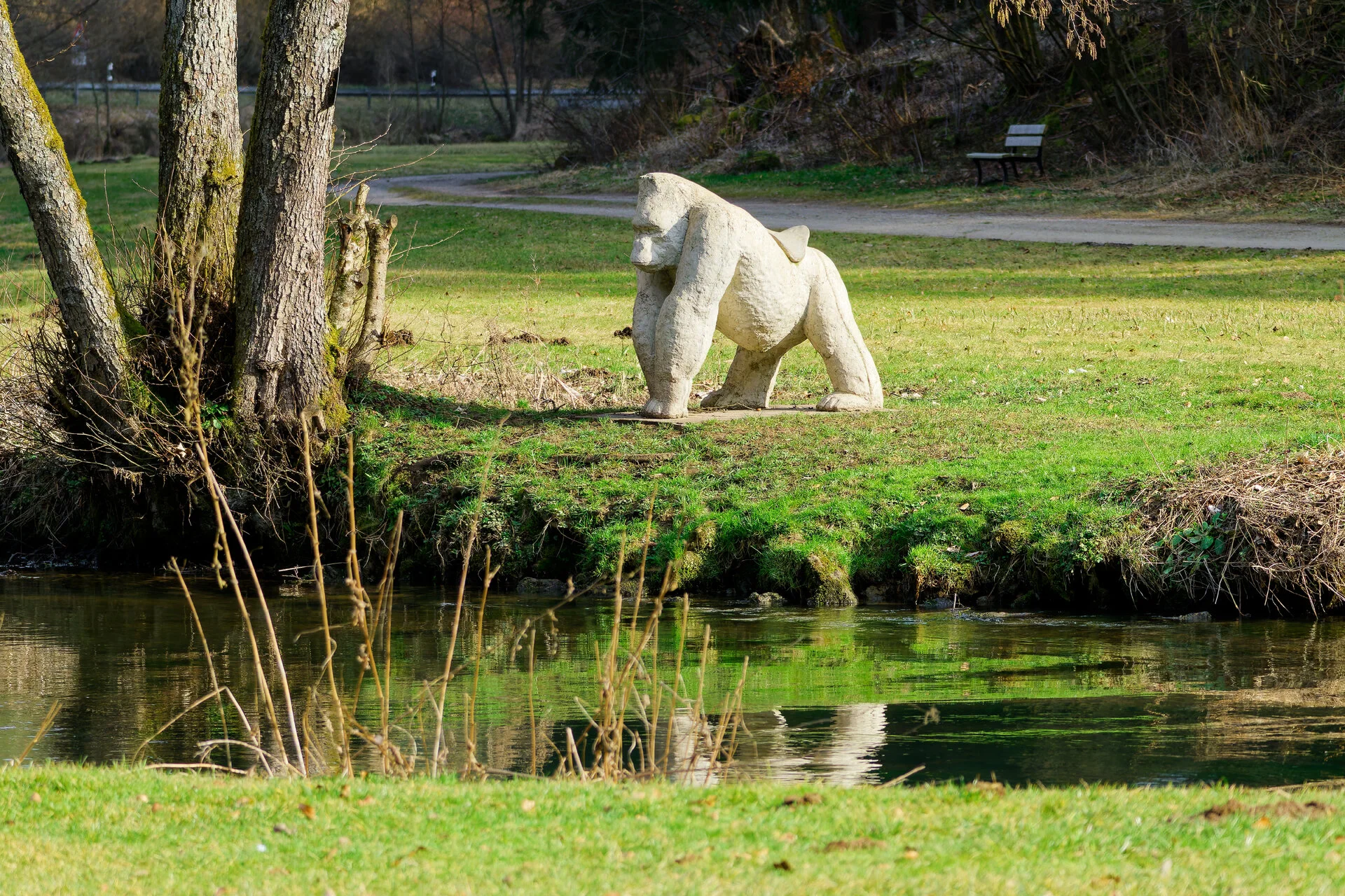 DSC03120_DxOAlpha.webp