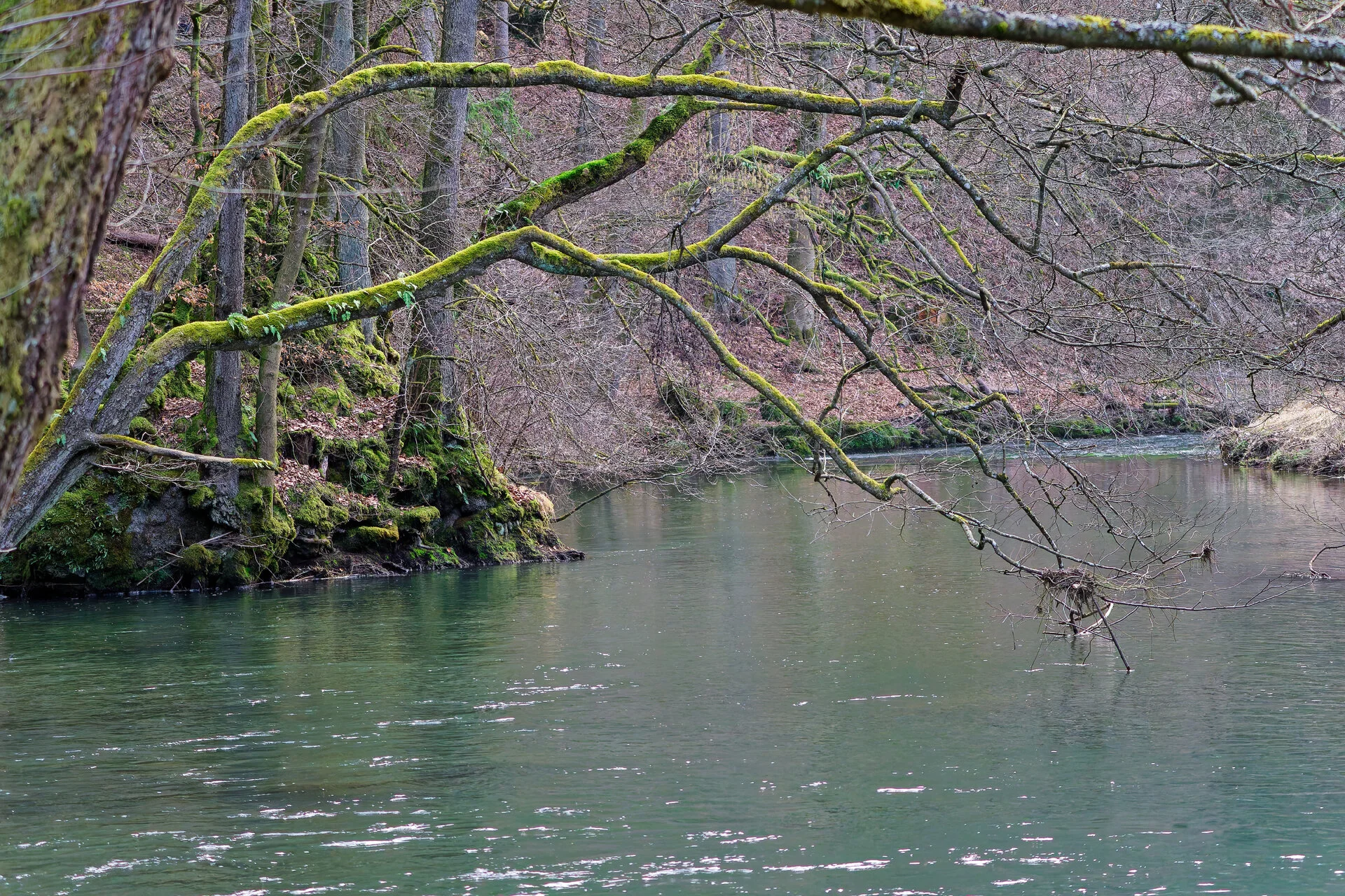 DSC03139_DxOAlpha.webp