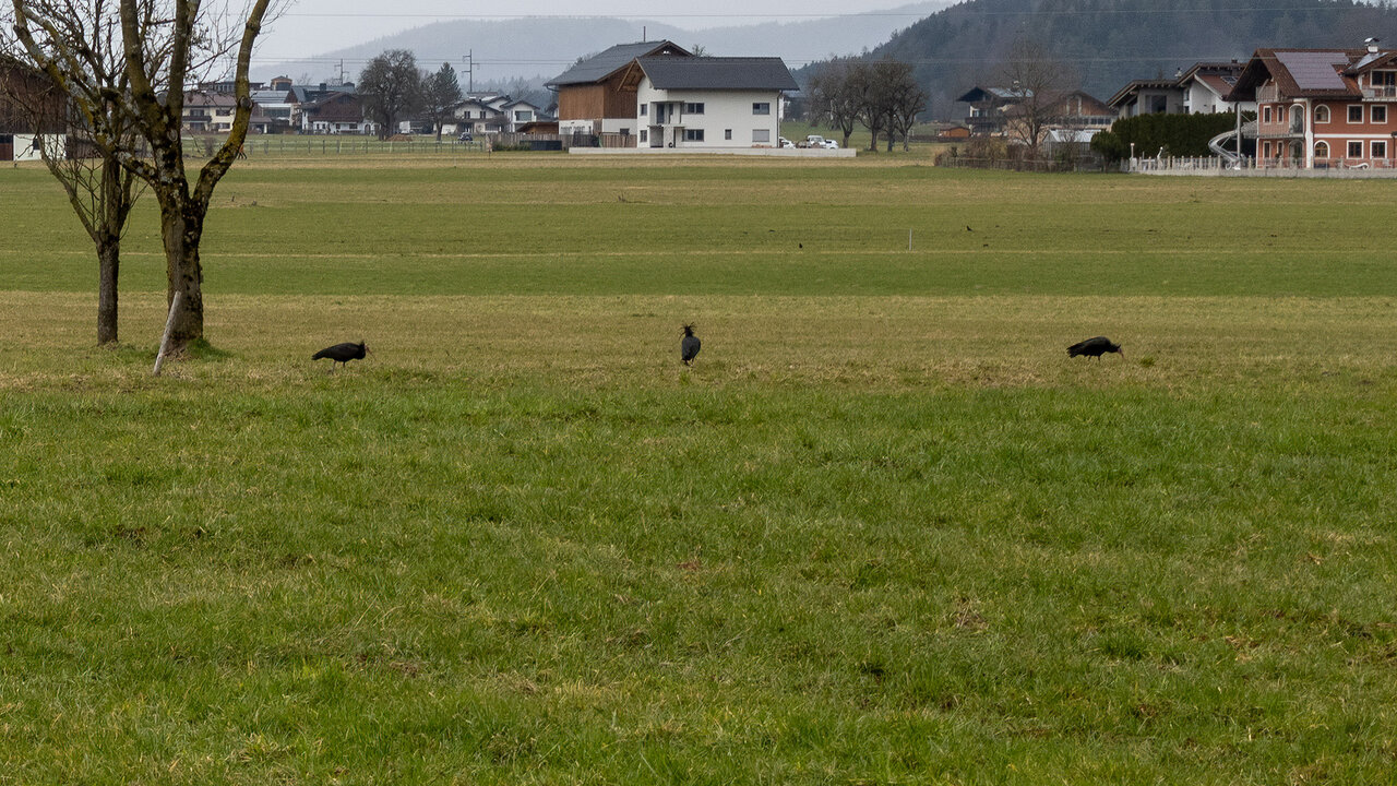 DSC03168.jpg