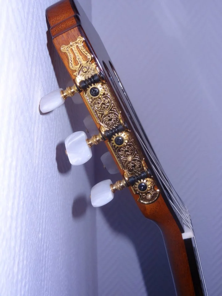 DSC03420.webp