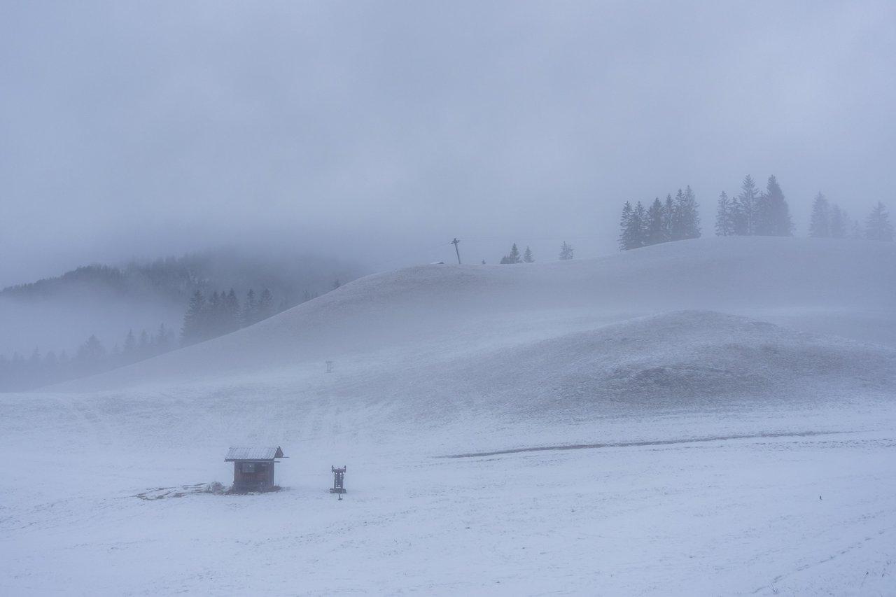 DSC03785.jpg