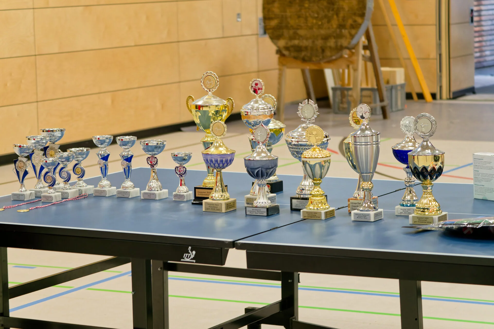 DSC03791_DxOAlpha.webp