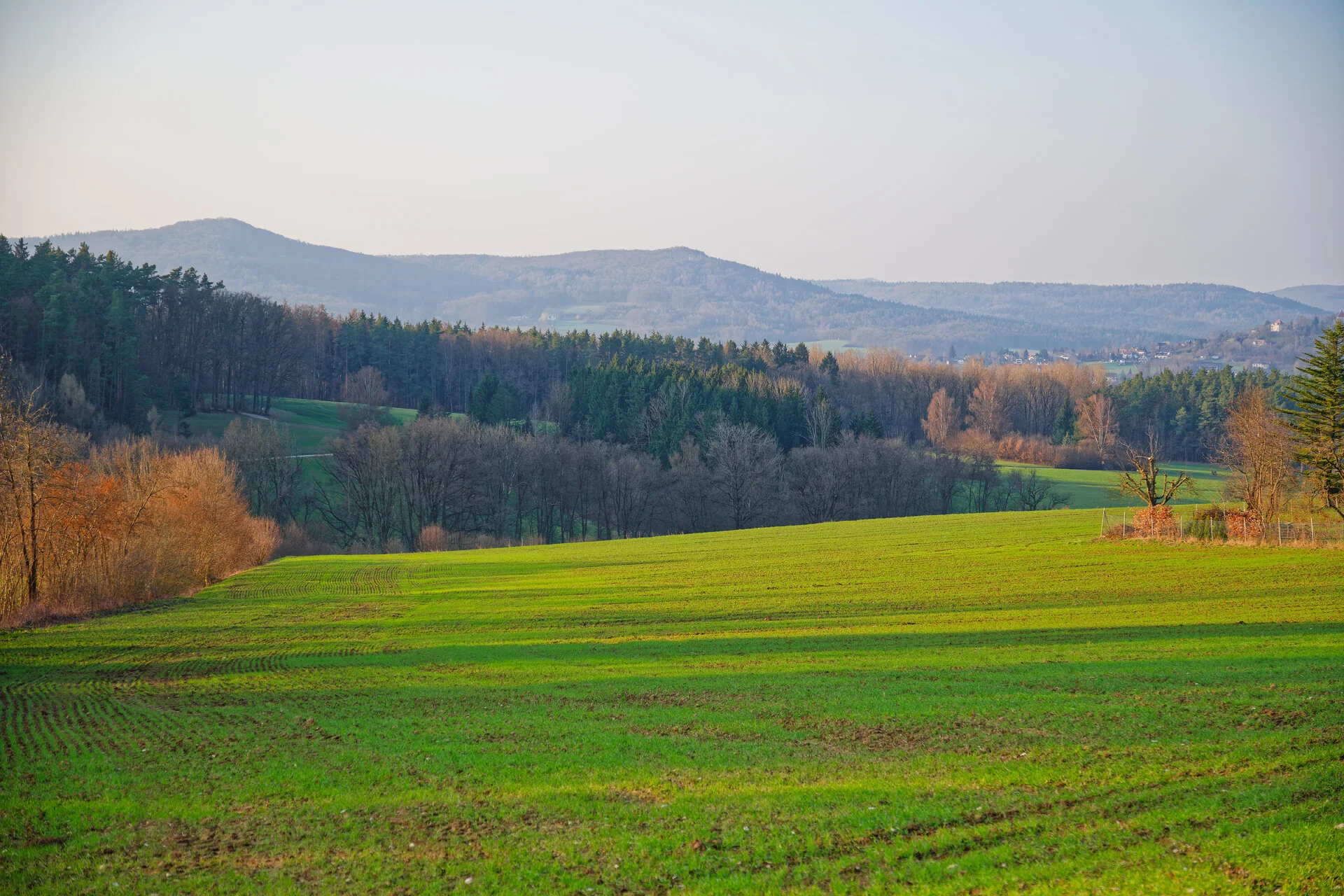 DSC03948_DxOAlpha.webp
