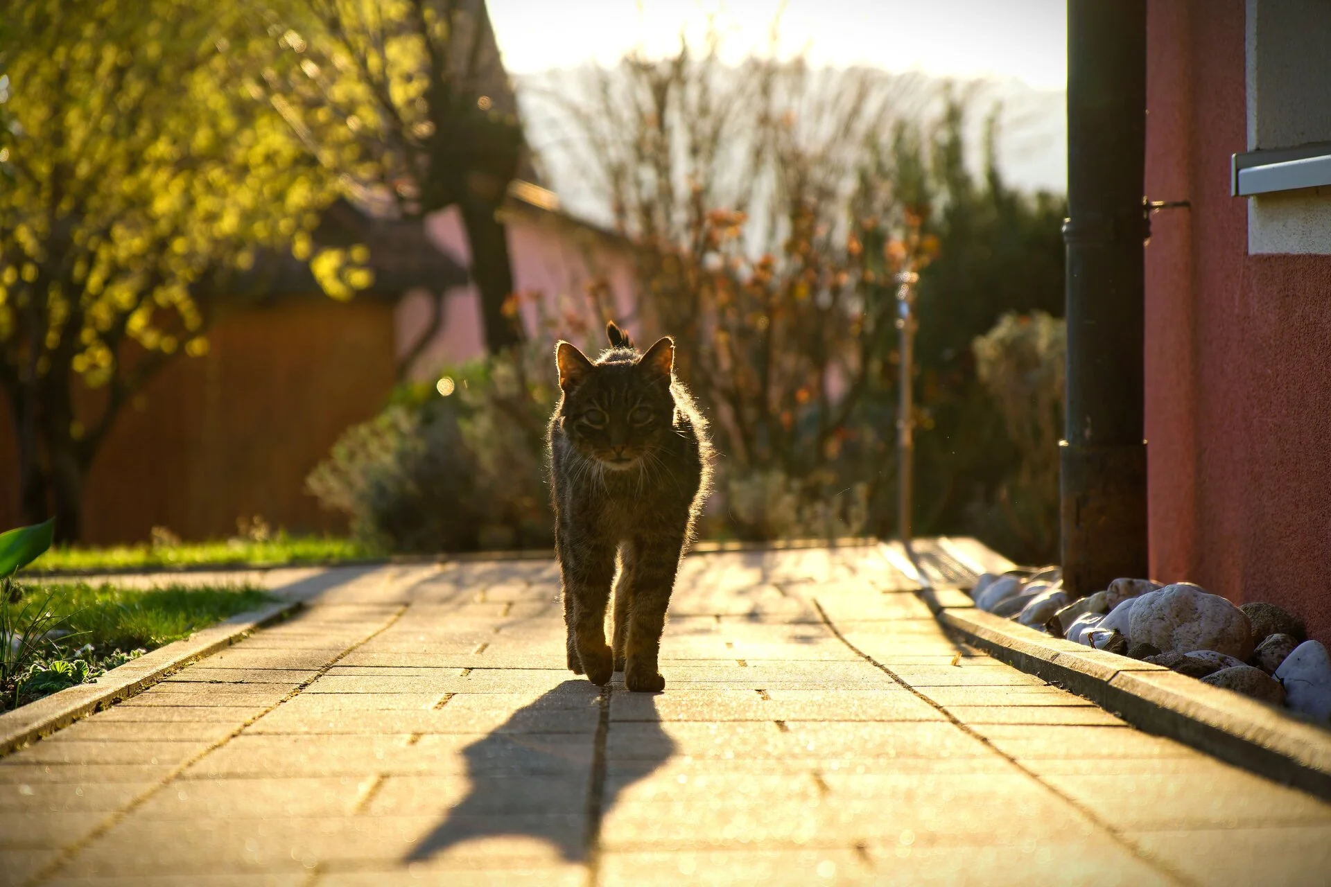 DSC03977_DxOAlpha.webp