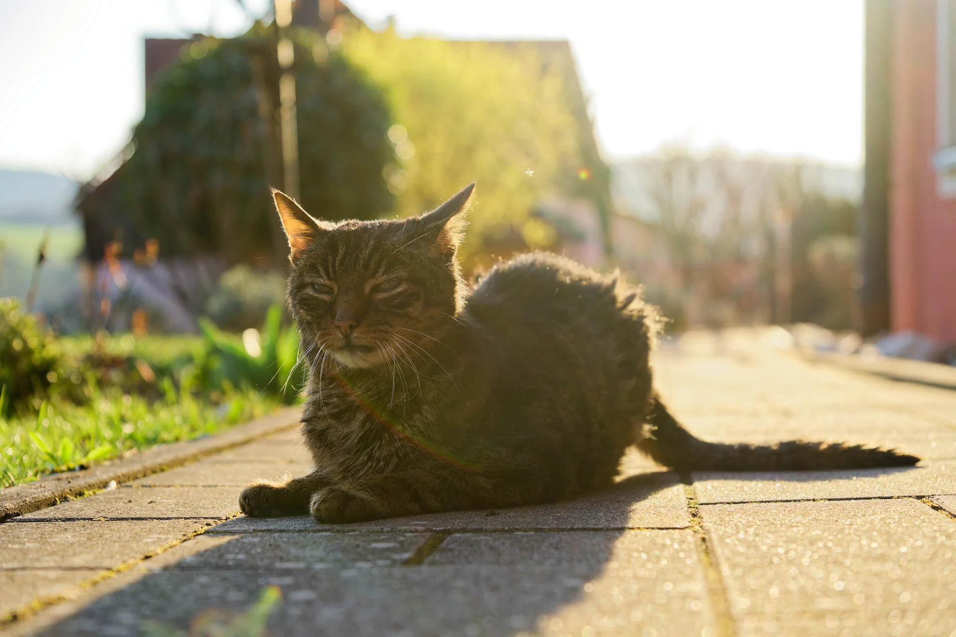 DSC03986_DxOAlpha.webp
