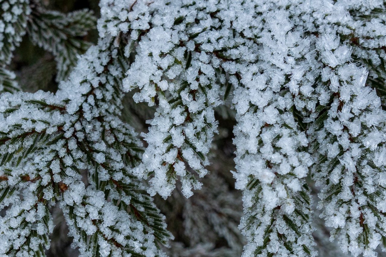 DSC04027.jpg