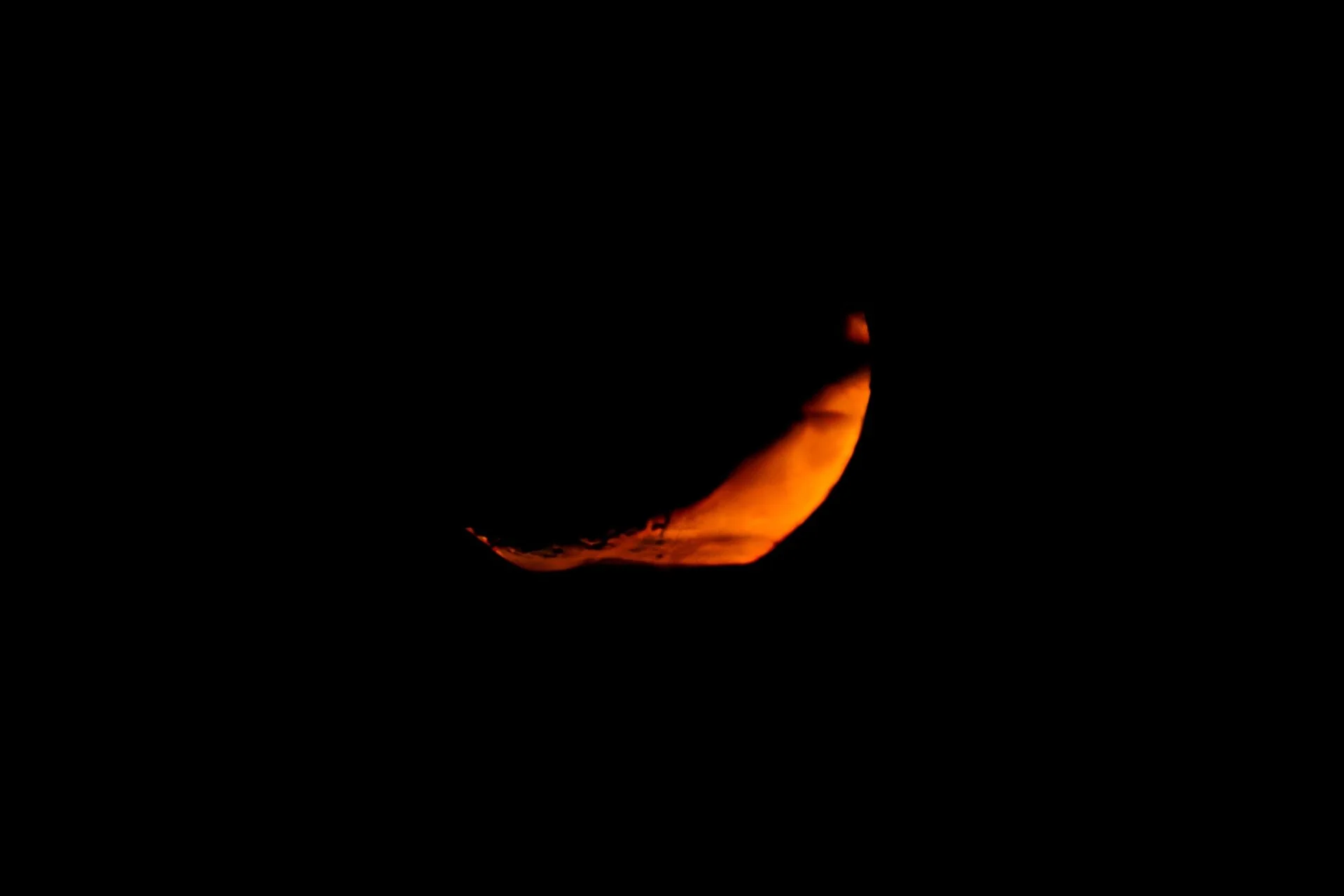 DSC04101_DxOAlpha_Kopie.jpg
