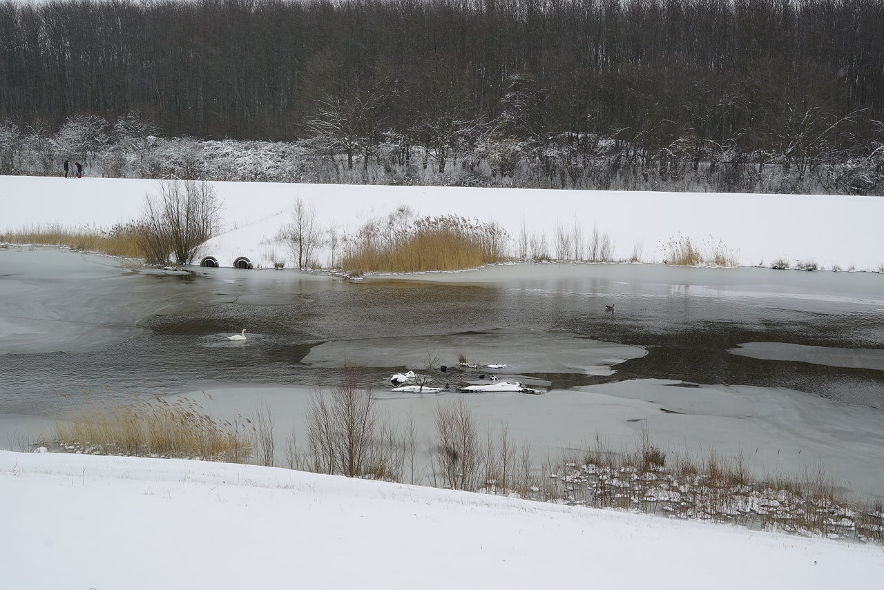 DSC04267.JPG