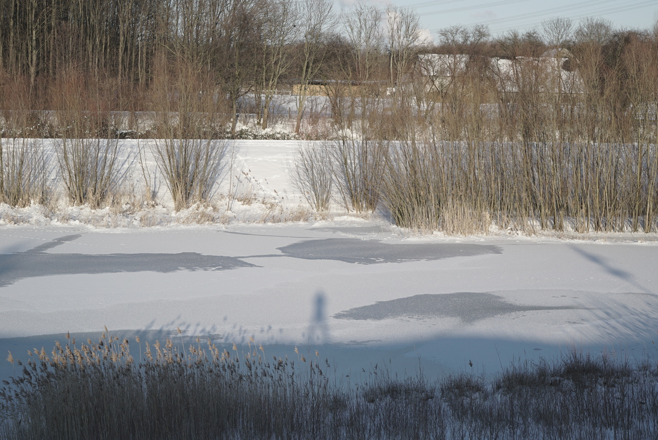 DSC04295.JPG