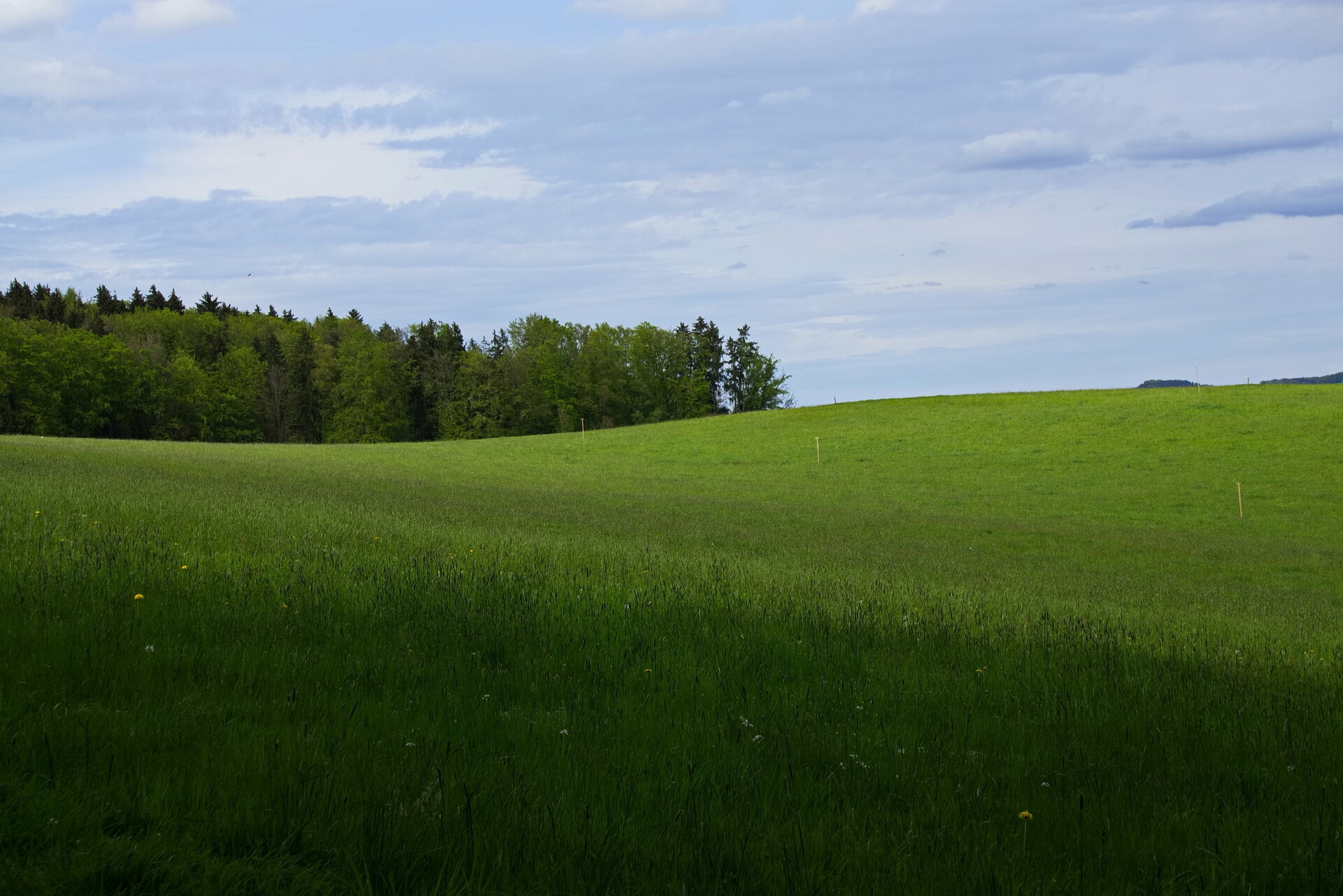 DSC04543.jpg