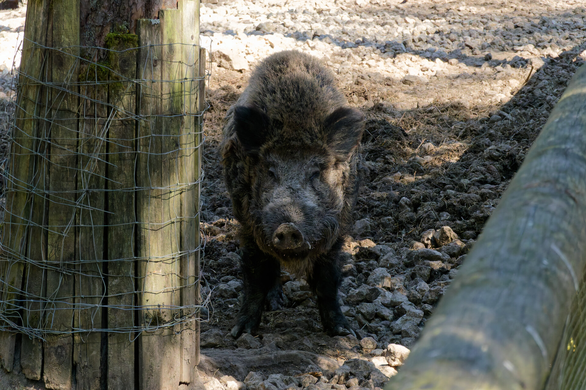 DSC04675_DxO.jpg