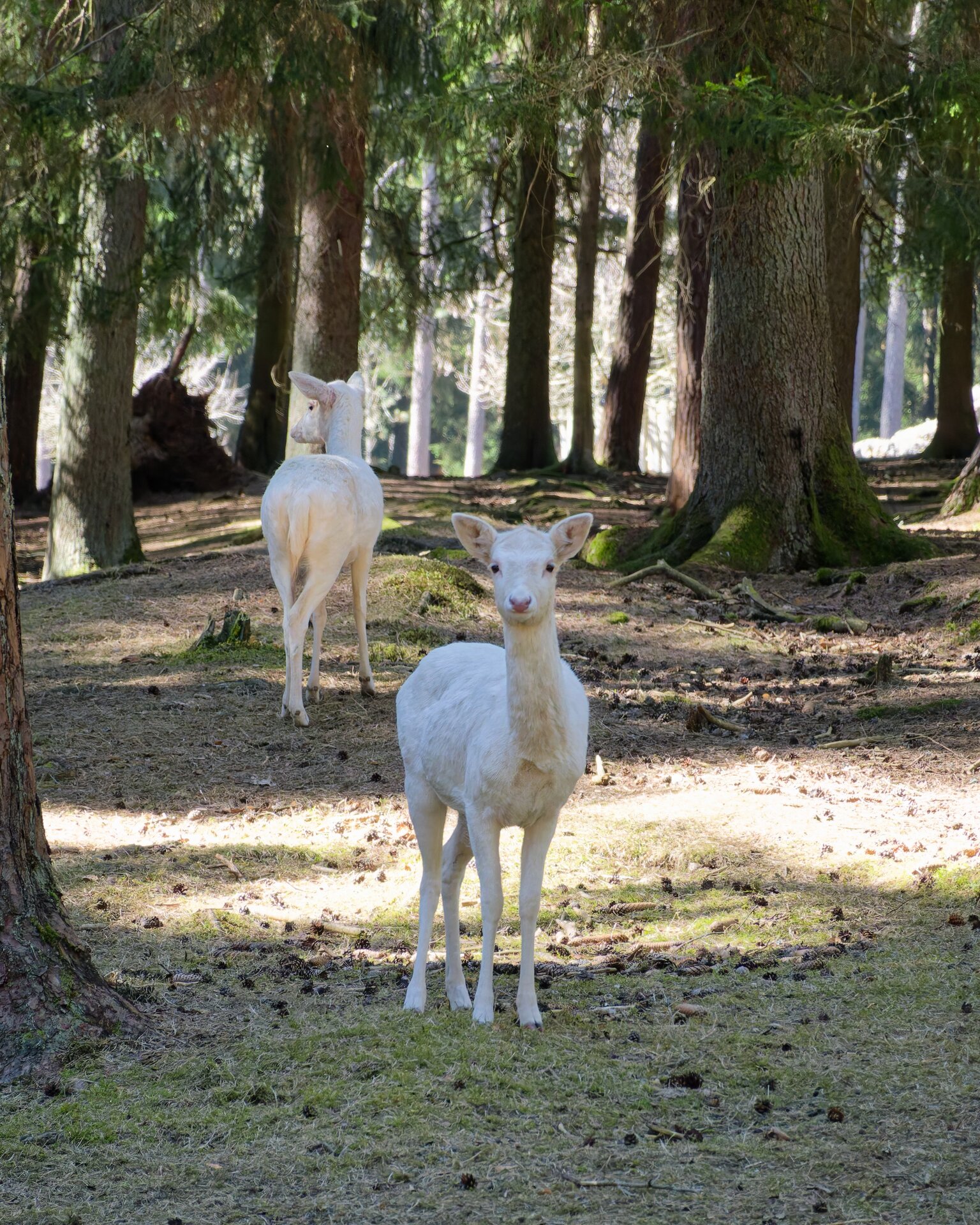 DSC04722_DxO 2.jpg
