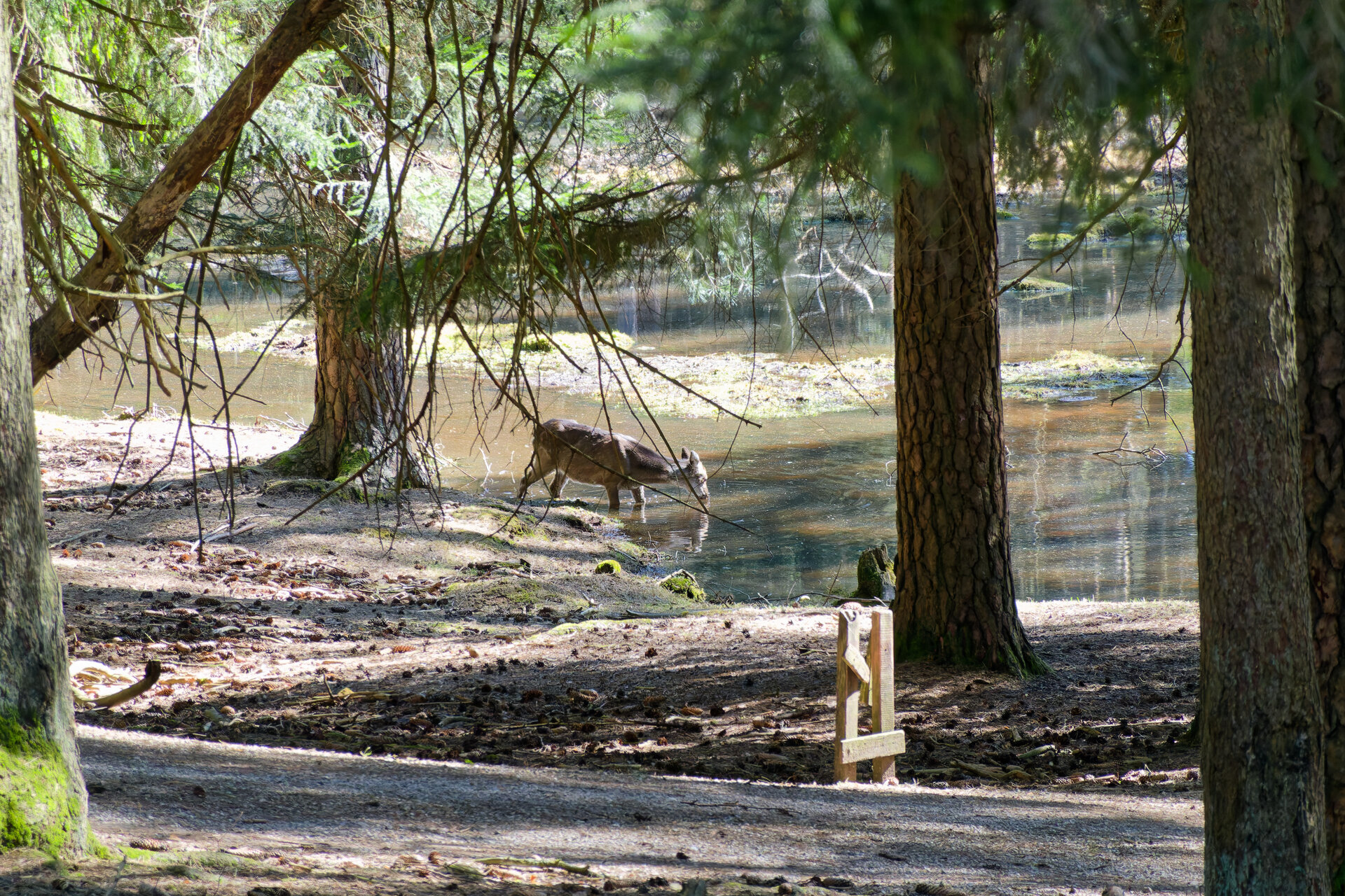 DSC04748_DxO.jpg