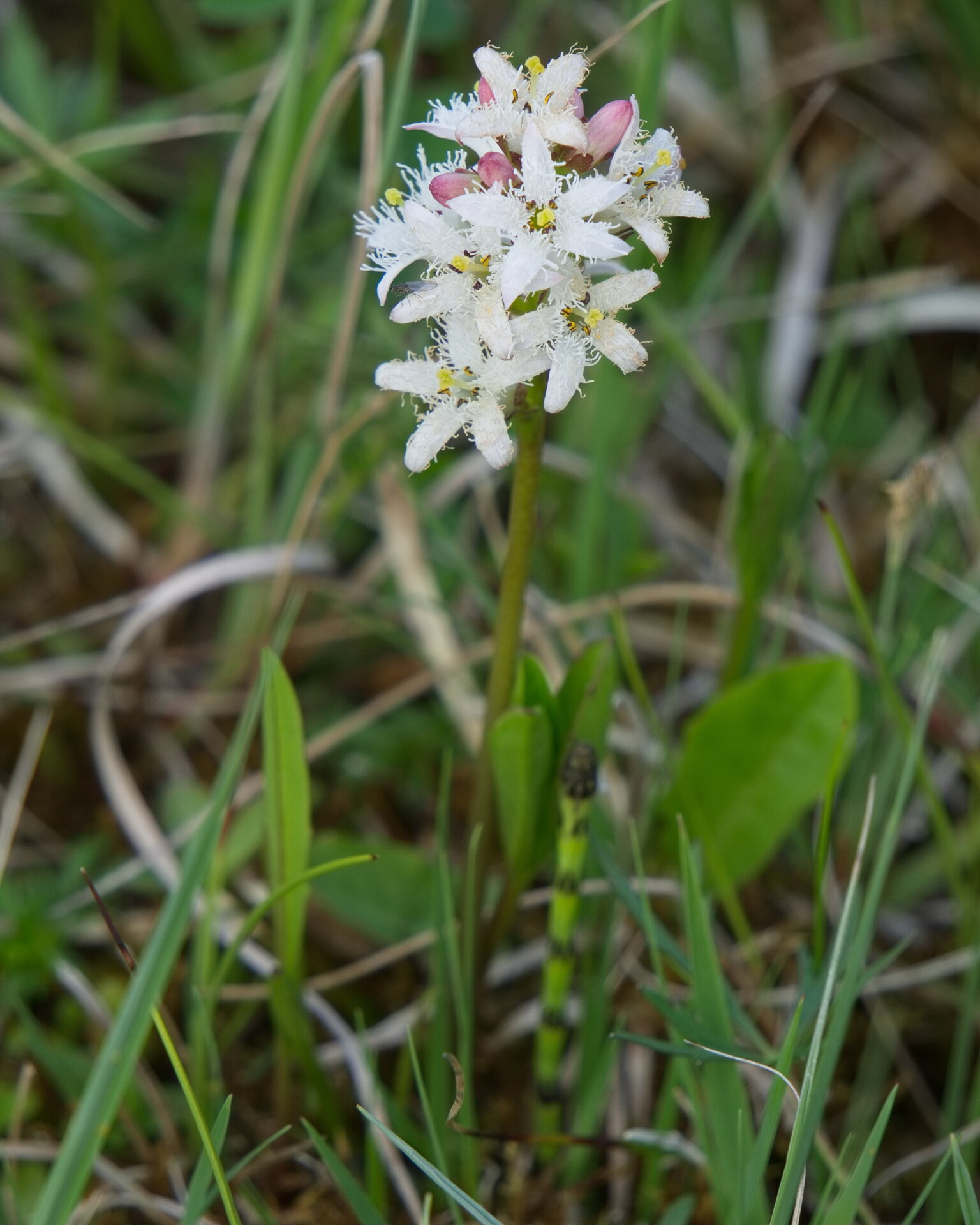 DSC04806.jpg