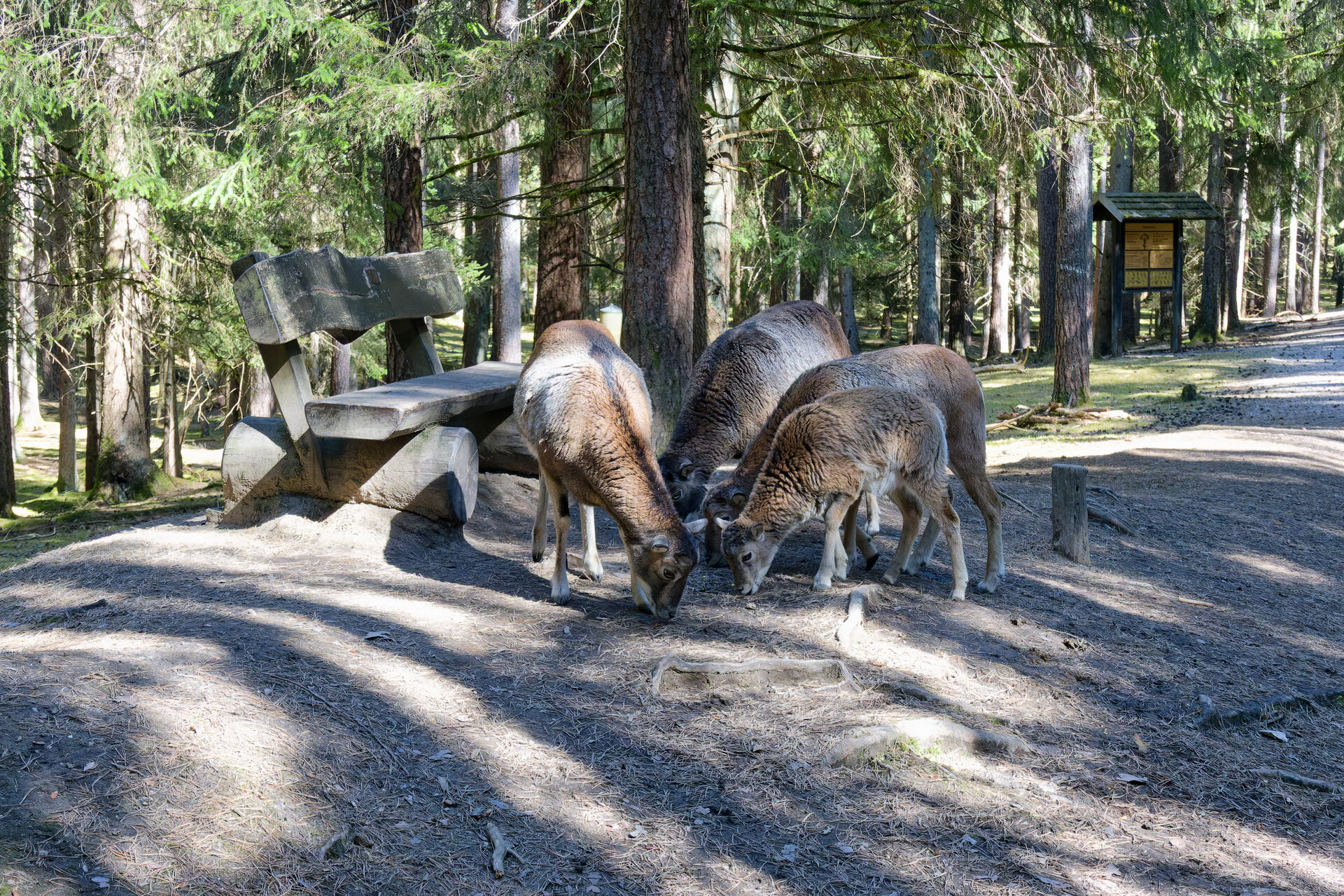 DSC04829_DxO.jpg