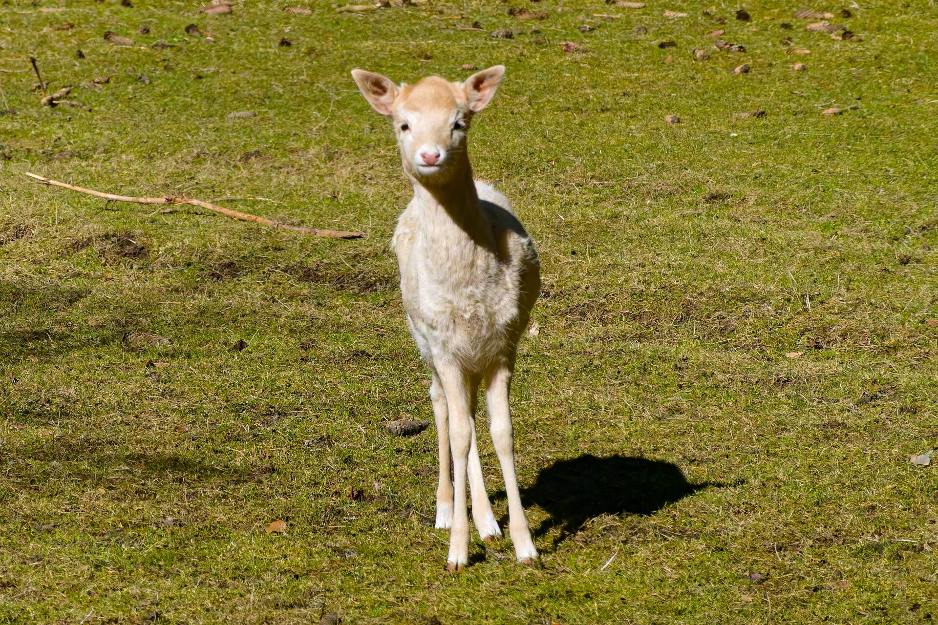 DSC04974_DxO_Kopie.jpg