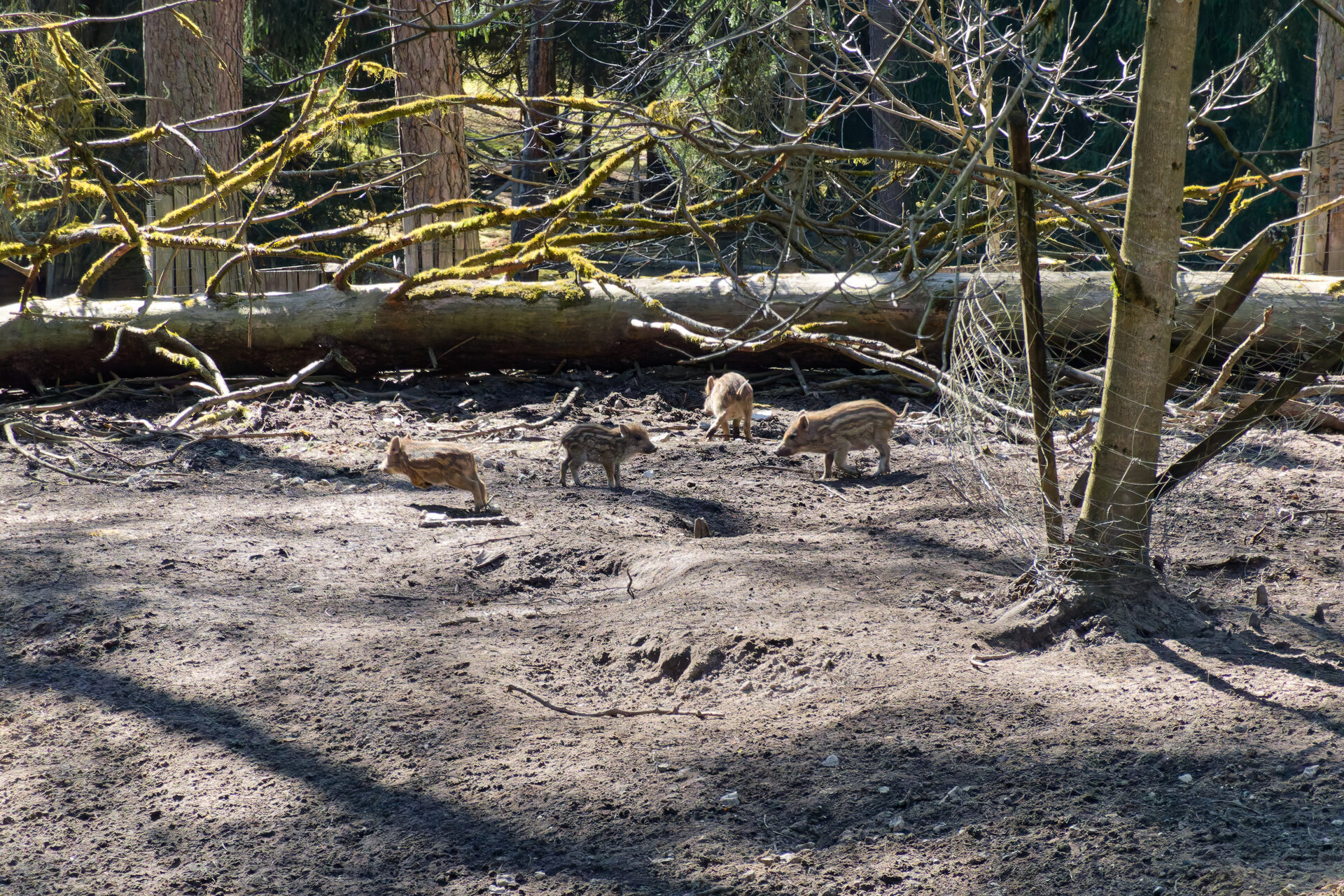 DSC04989_DxO.jpg