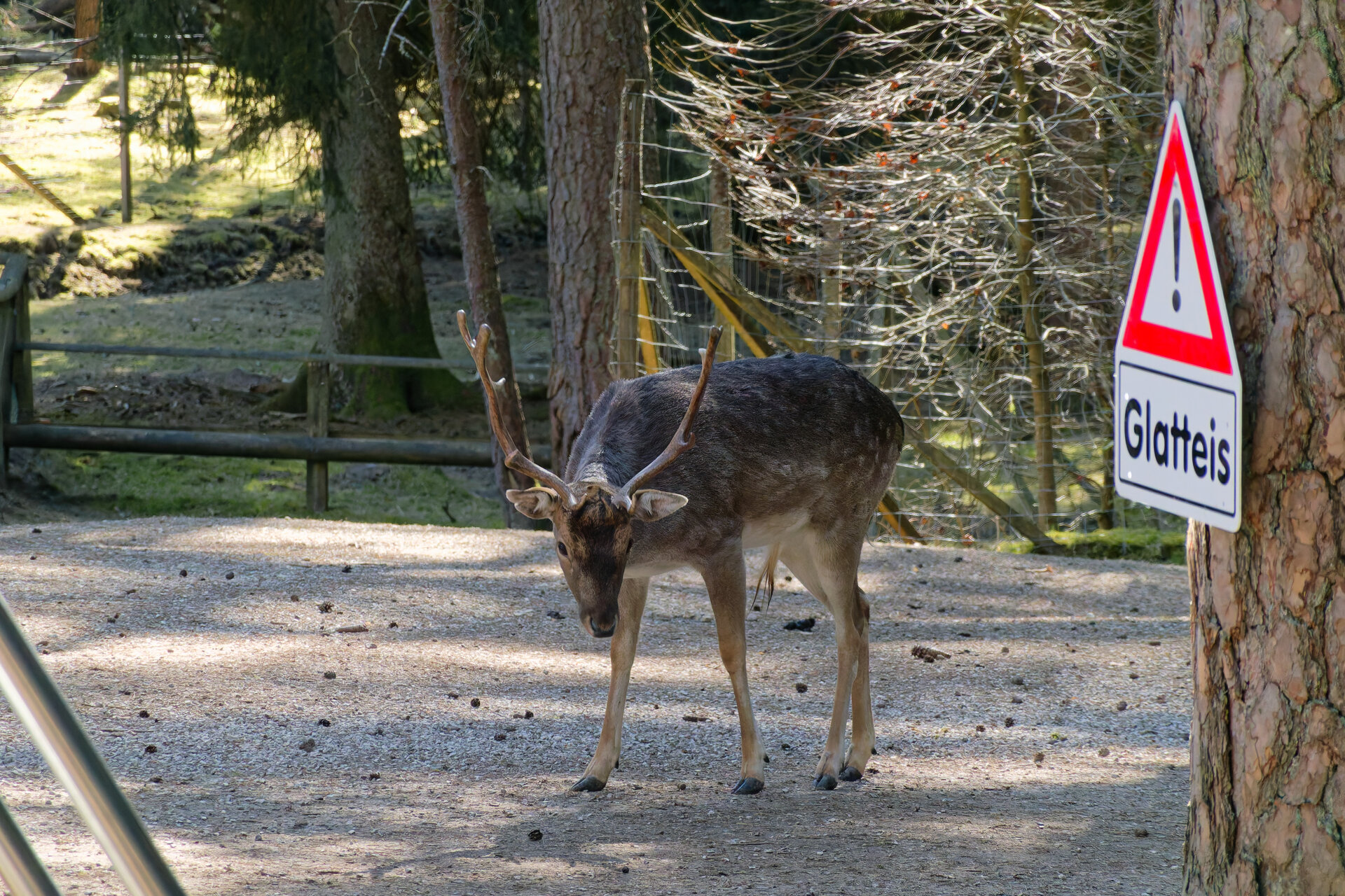 DSC05066_DxO.jpg