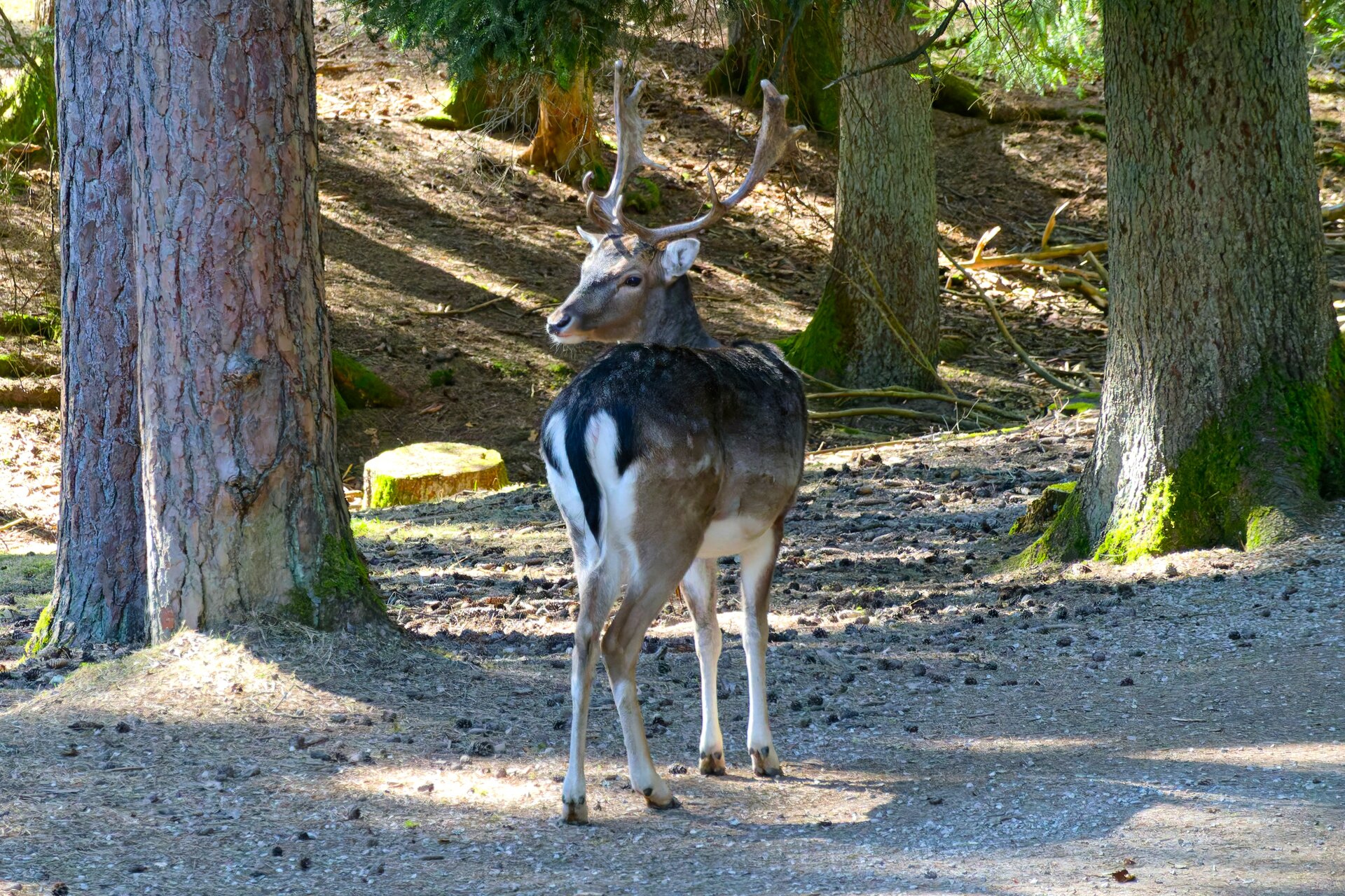 DSC05077_DxO_Kopie.jpg