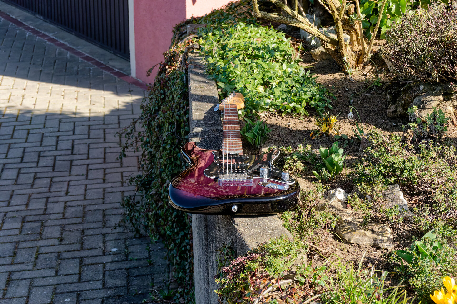 DSC05120_DxO.jpg