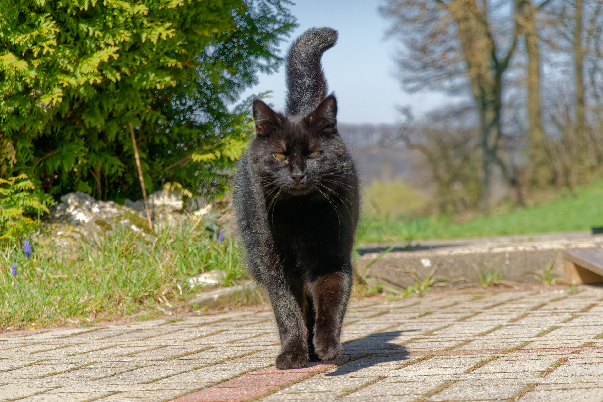 DSC05257_DxO.jpg