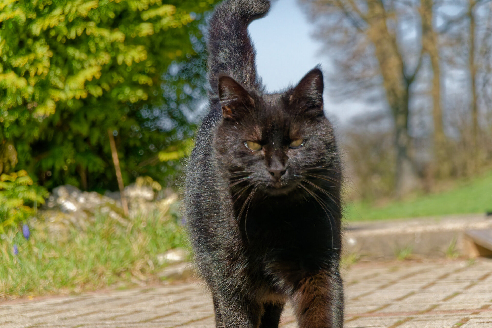DSC05259_DxO.jpg