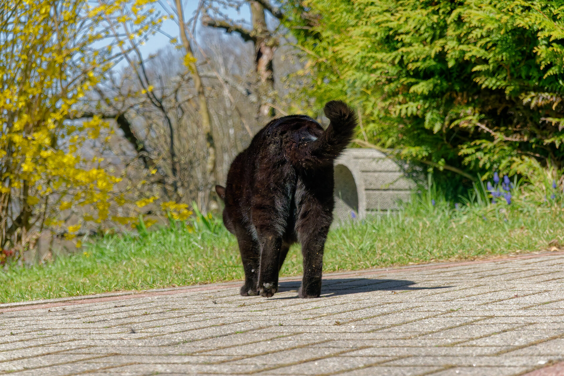 DSC05260_DxO.jpg