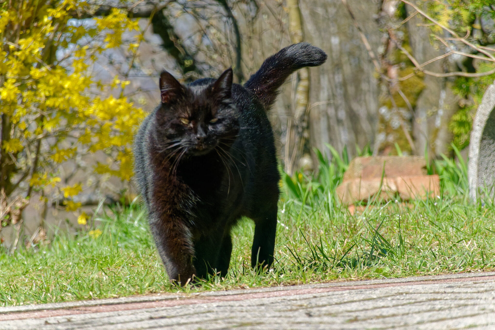 DSC05263_DxO.jpg
