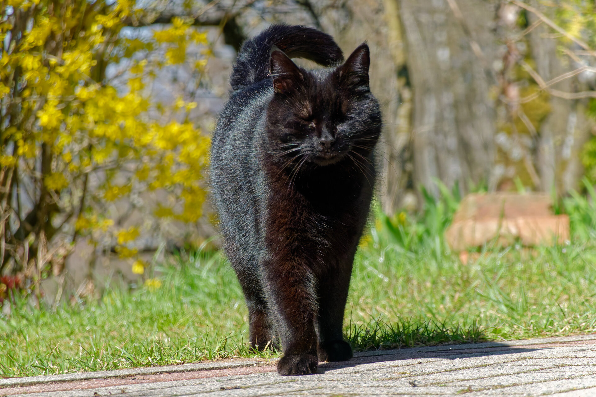 DSC05264_DxO.jpg
