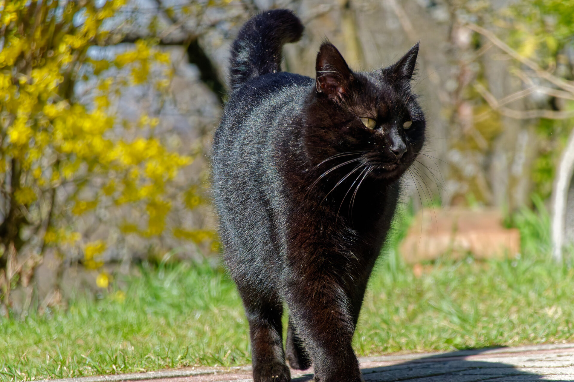 DSC05265_DxO.jpg