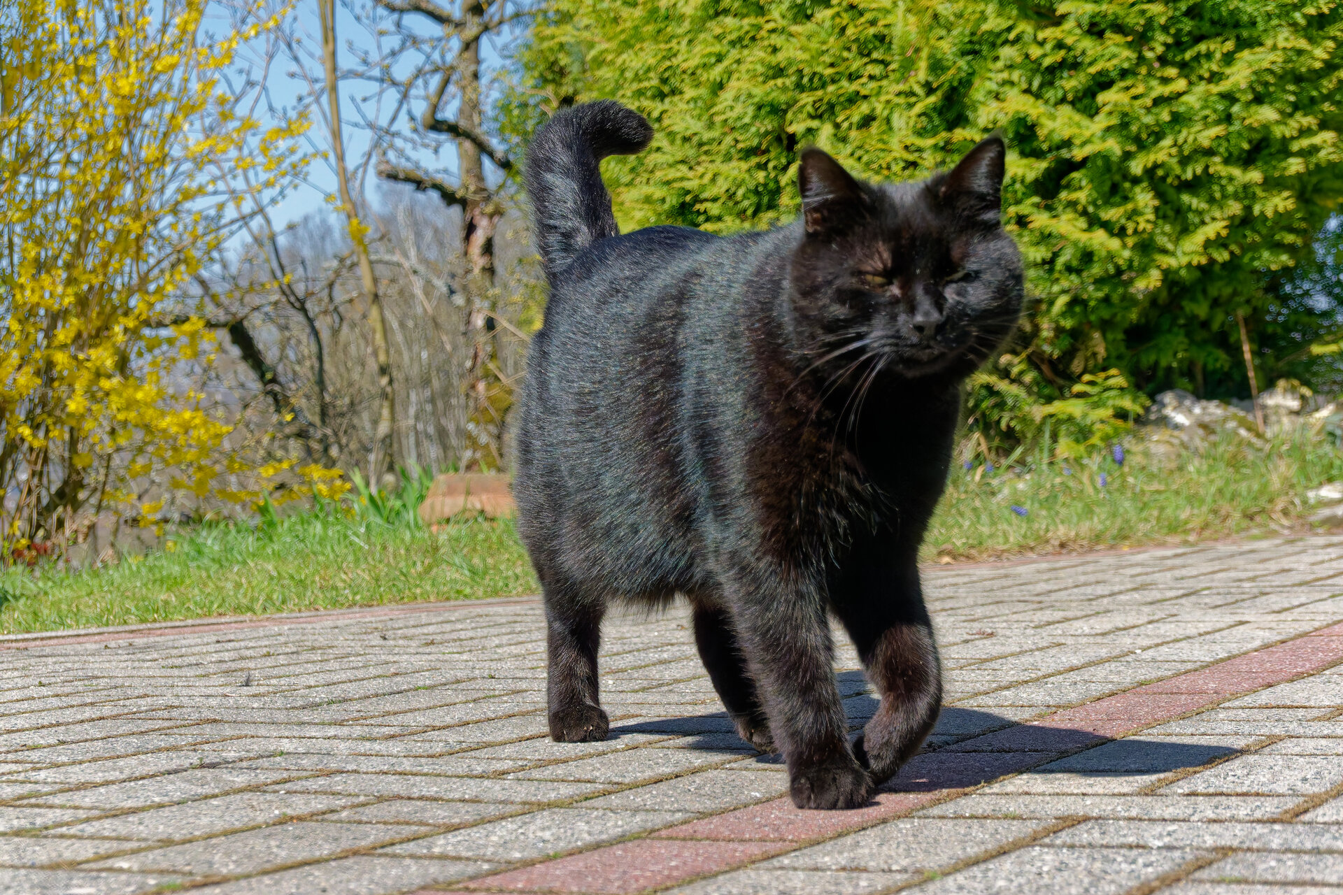DSC05266_DxO.jpg