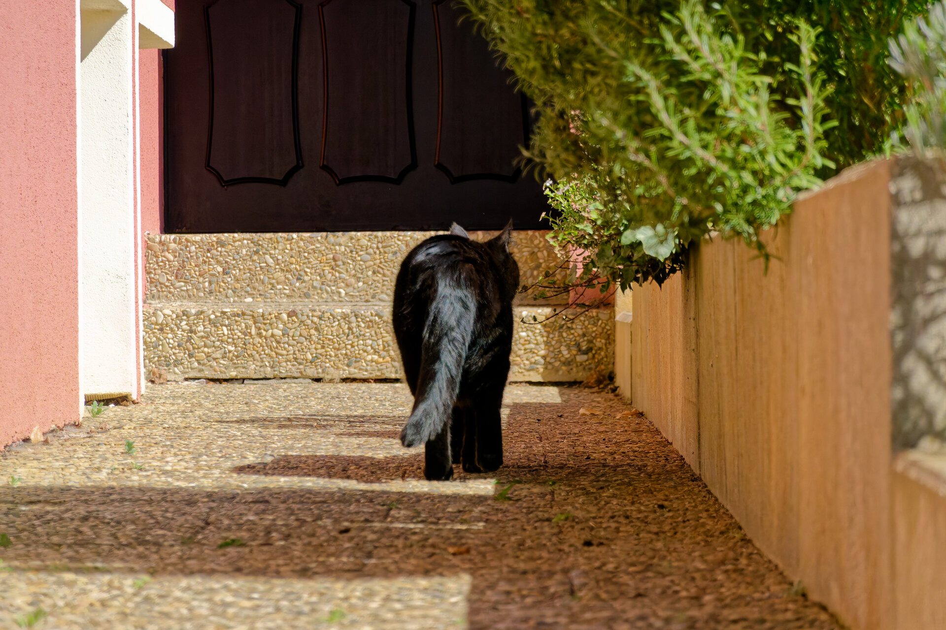 DSC05268_DxO.jpg