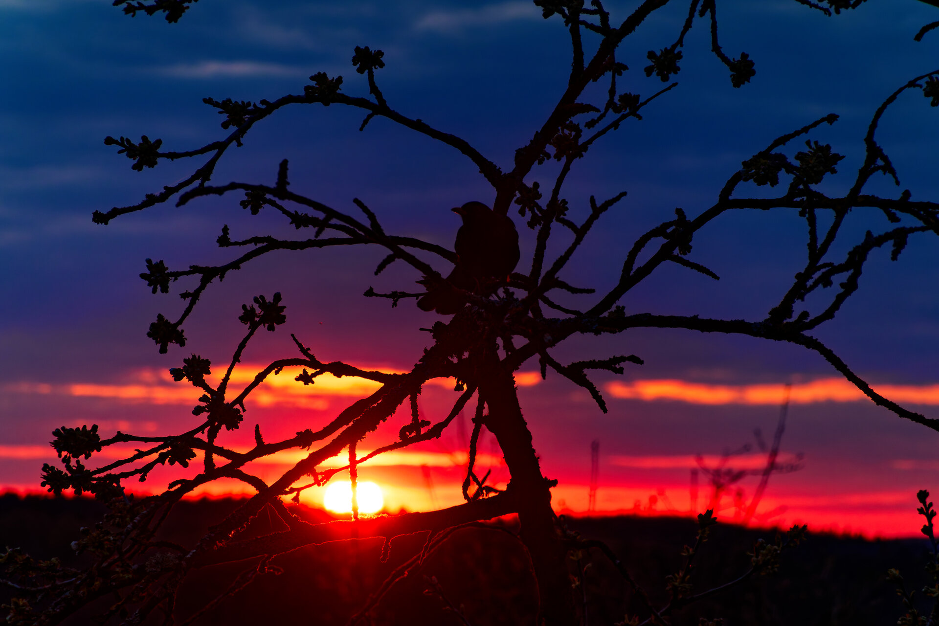 DSC05365_DxO.jpg