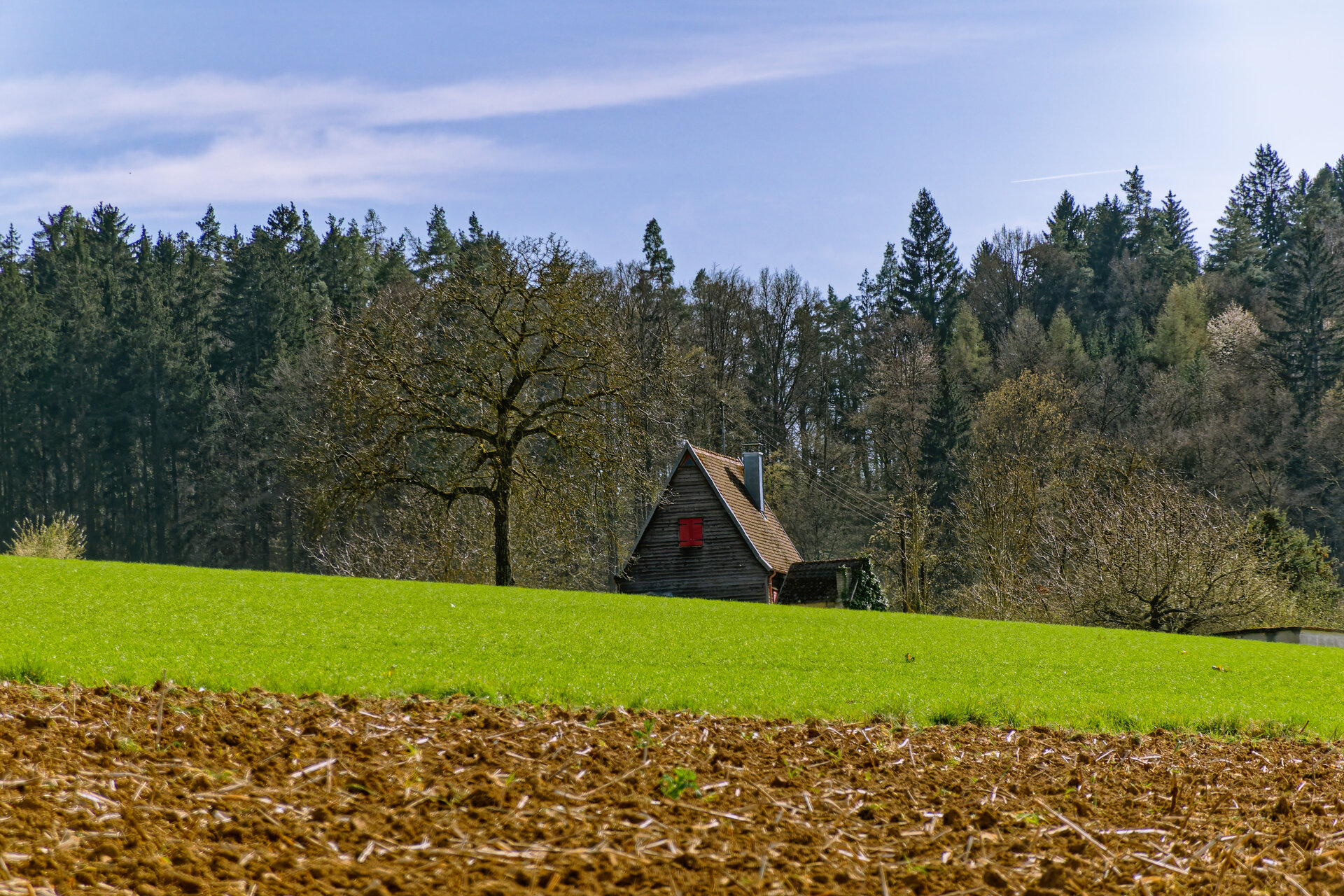 DSC05372_DxO.jpg