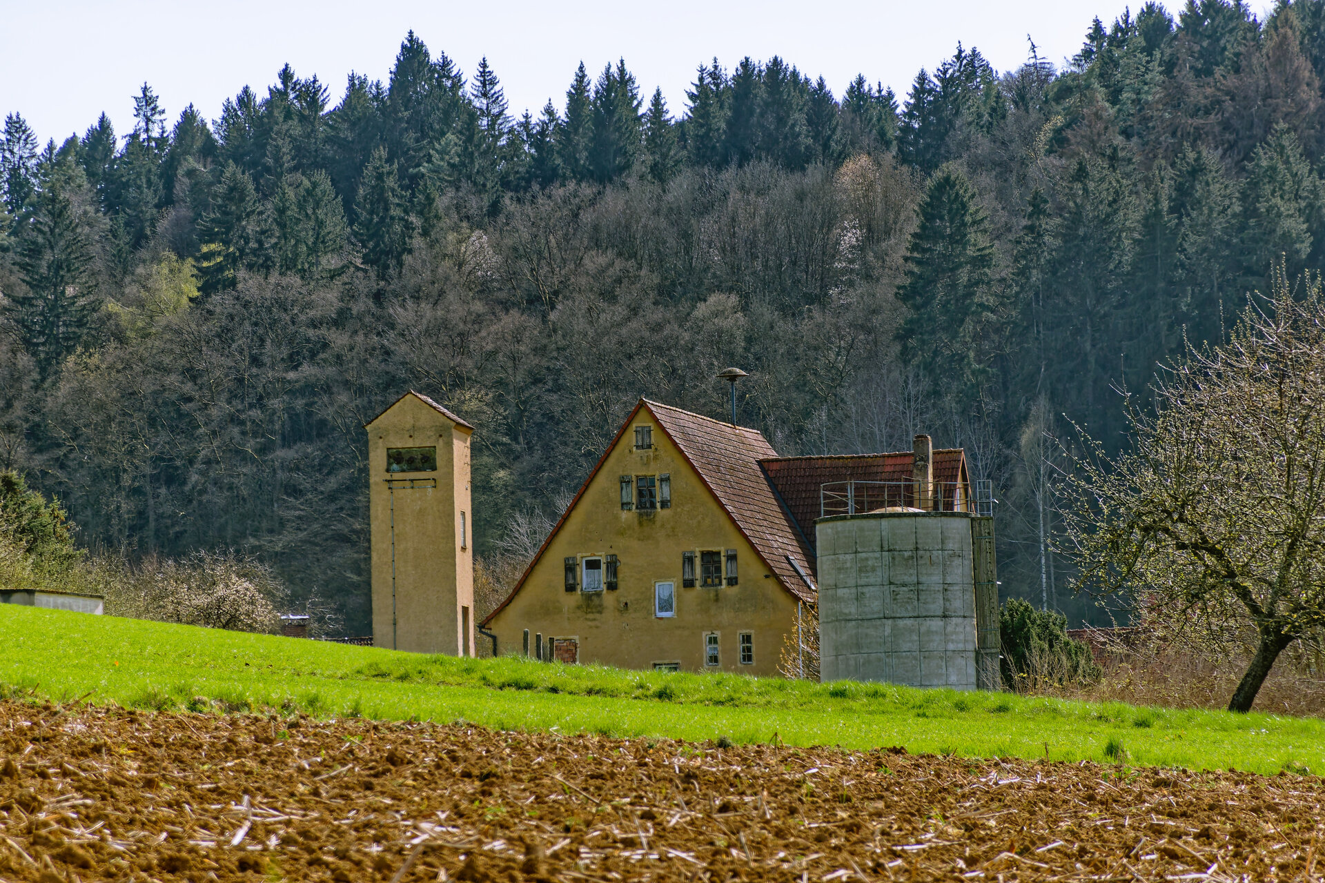 DSC05373_DxO.jpg