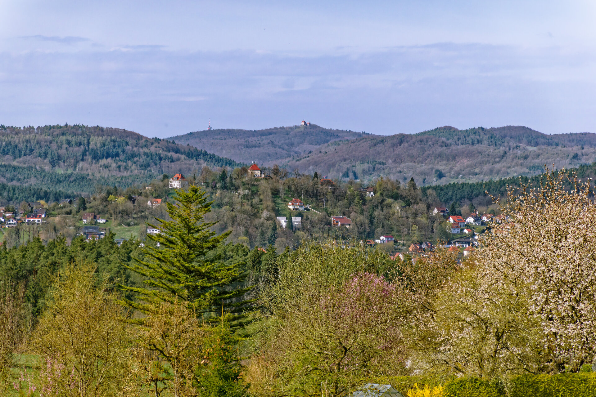 DSC05379_DxO.jpg