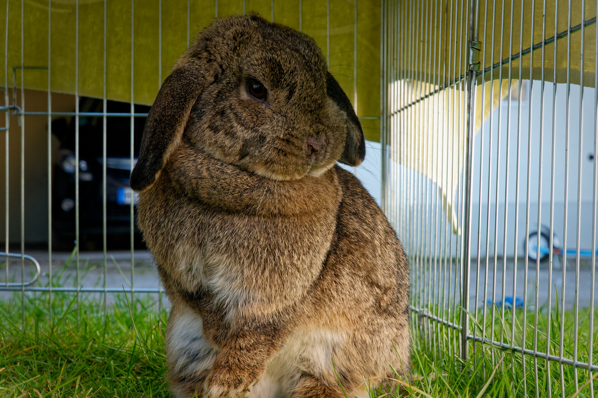 DSC05435_DxO.jpg