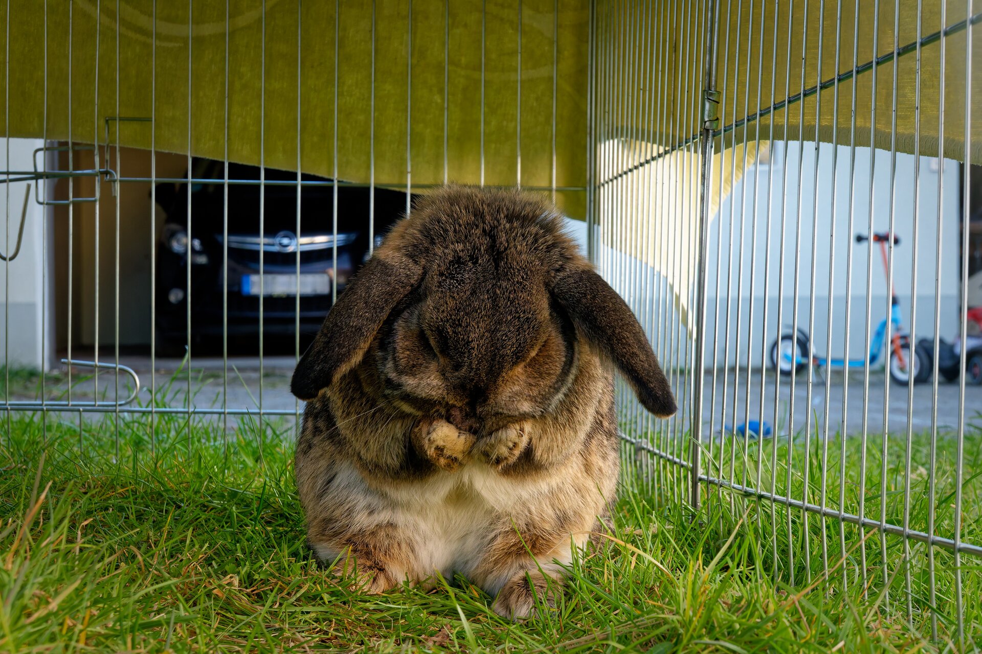 DSC05443_DxO.jpg