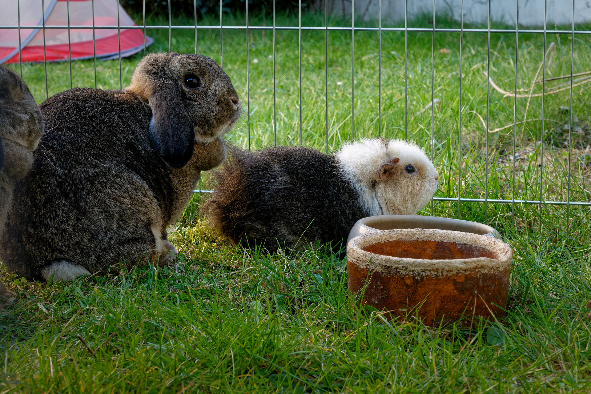 DSC05471_DxO.jpg