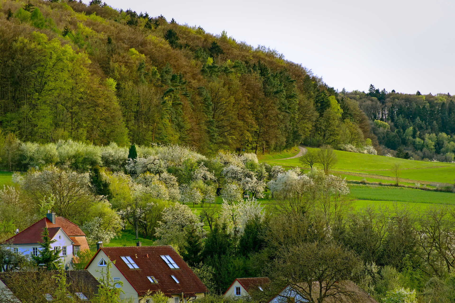 DSC05591_DxO.jpg