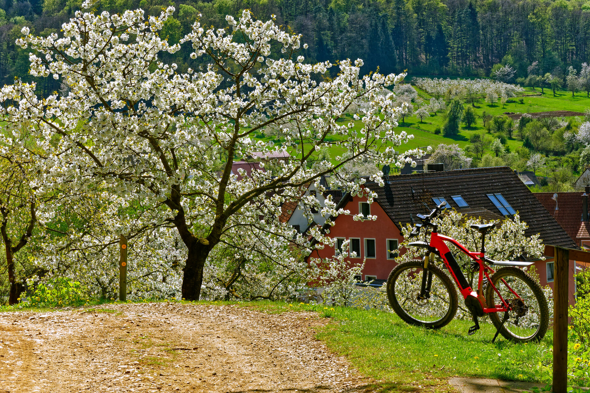 DSC05678_DxO.jpg