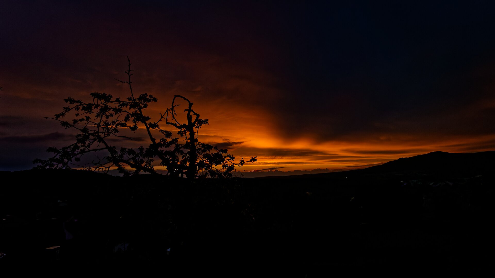 DSC05685_DxO.jpg