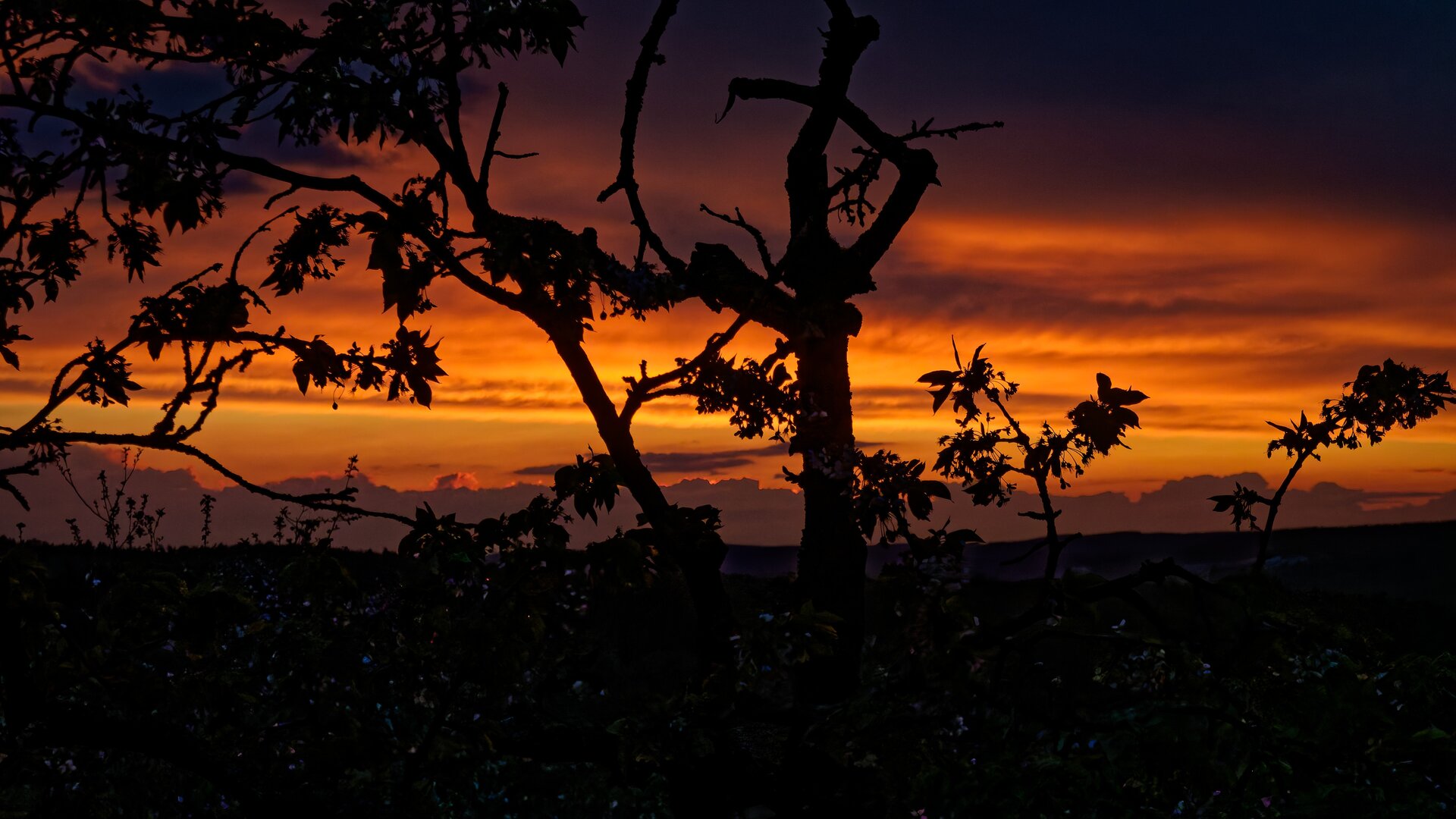 DSC05699_DxO.jpg