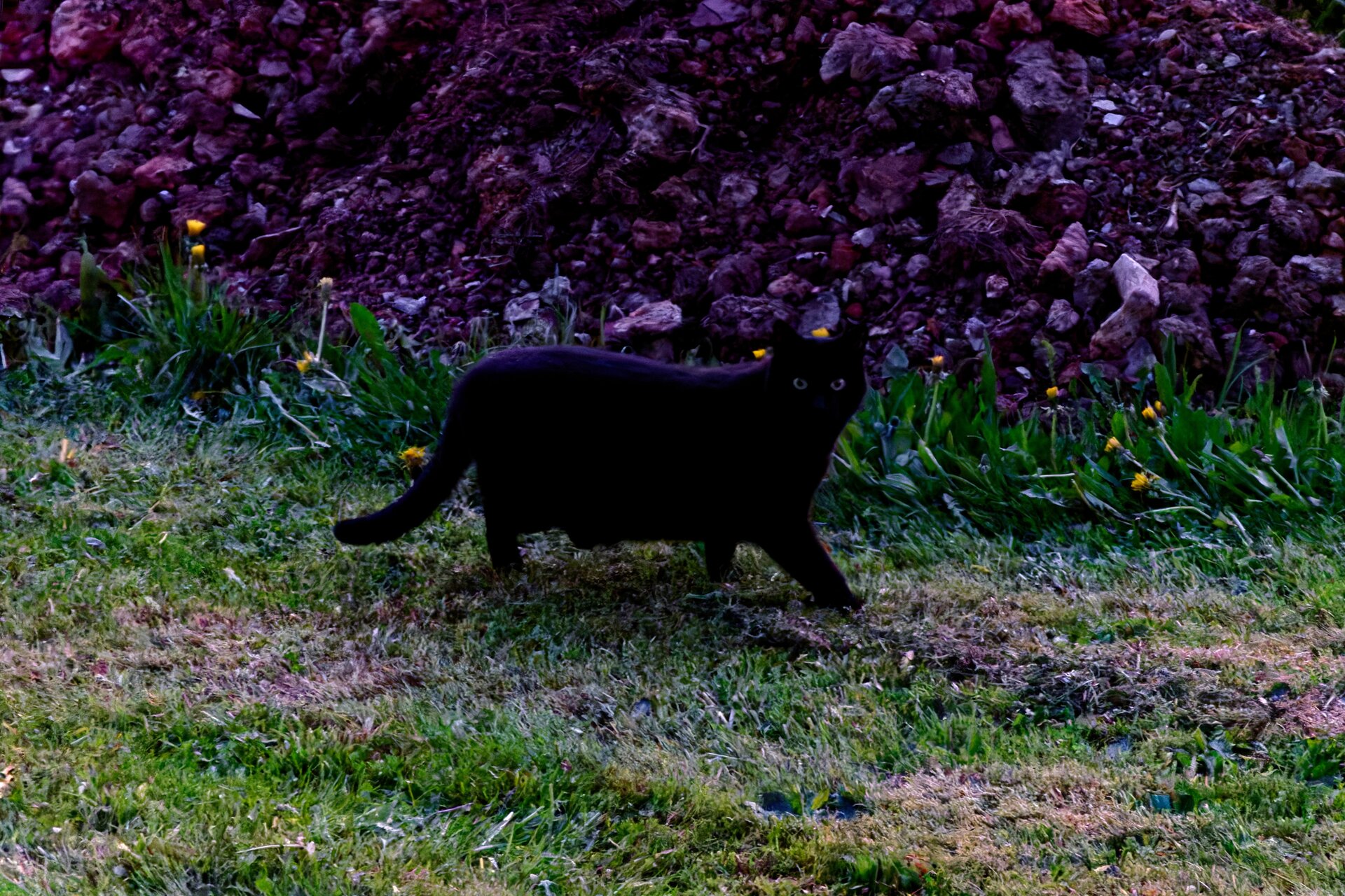 DSC05704_DxO_Kopie.jpg