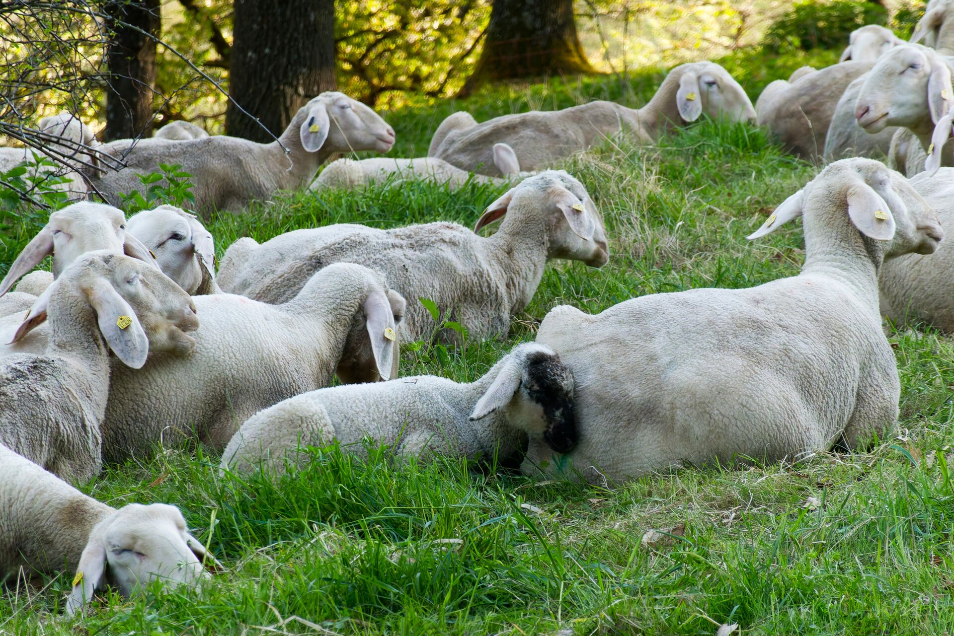 DSC05720_DxO_Kopie.jpg