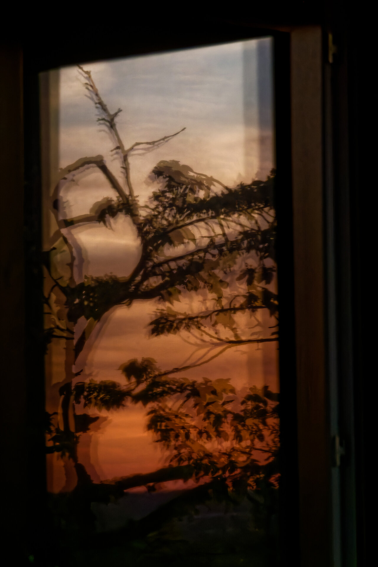 DSC05722_DxO.jpg